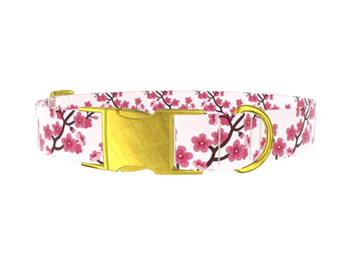 Floral Cherry Blossom Dog Collar