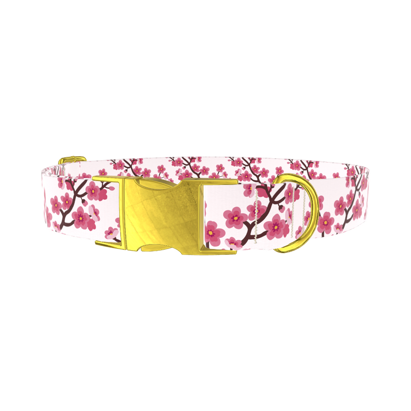 Floral Cherry Blossom Dog Collar