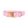Skull and Bones Dog Collar - Thumbnail 2