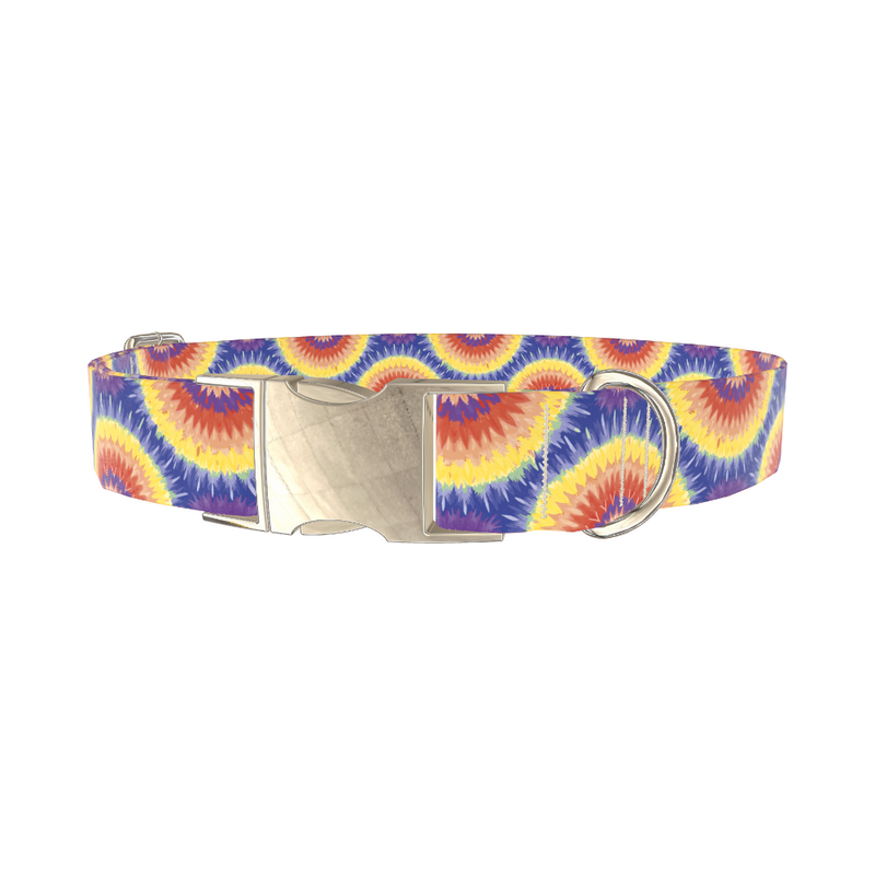 Colorful Burst Dog Collar