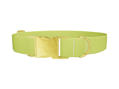 Golden Foliage Color Dog Collar
