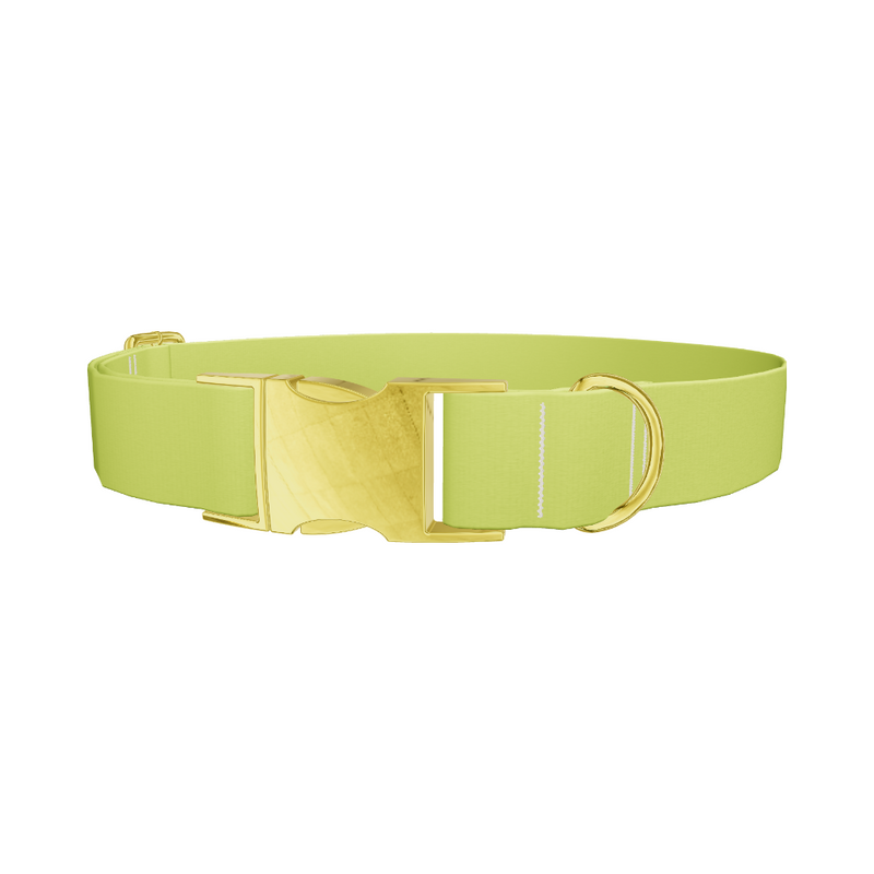 Golden Foliage Color Dog Collar