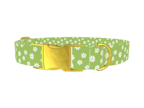 Green Daisy Pattern Dog Collar
