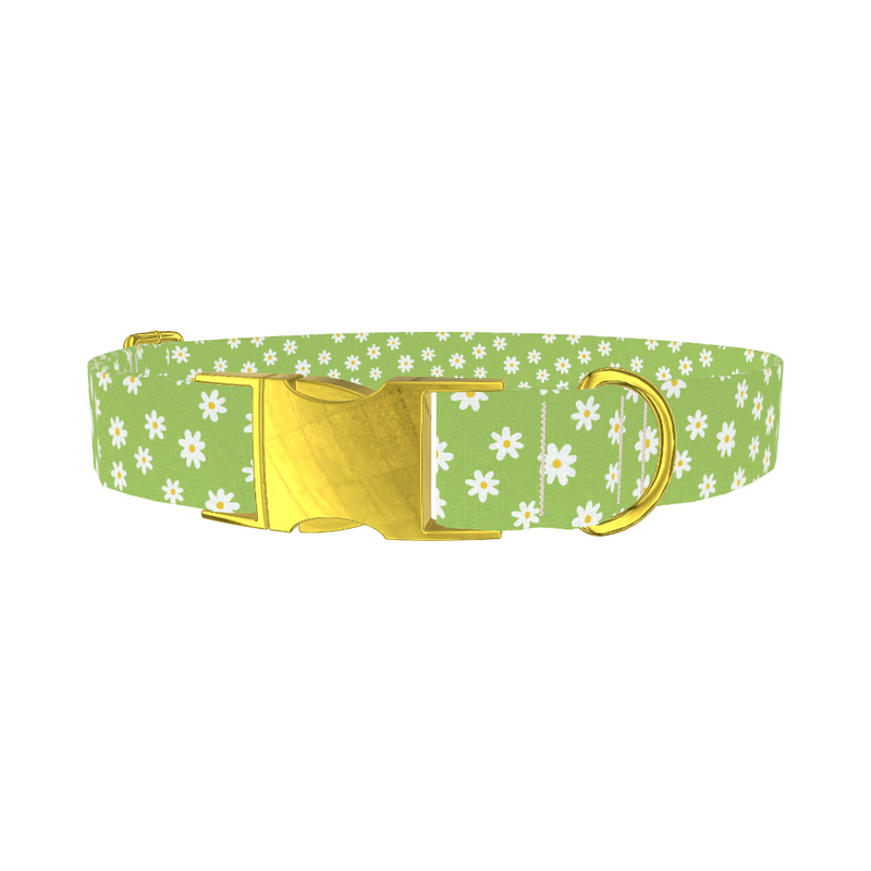 Green Daisy Pattern Dog Collar