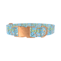 Spring Blossom Dog Collar - Thumbnail 2
