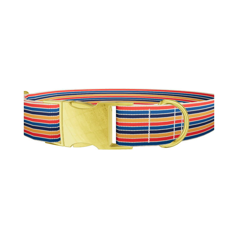 Color Block Hexagon Dog Collar