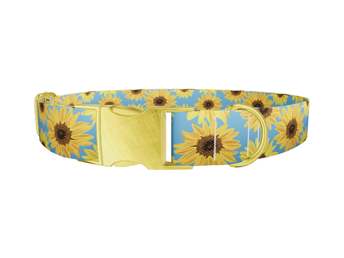 Sunflower Floral Dog Collar