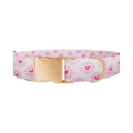 Heart Burst Dog Collar - Thumbnail 2