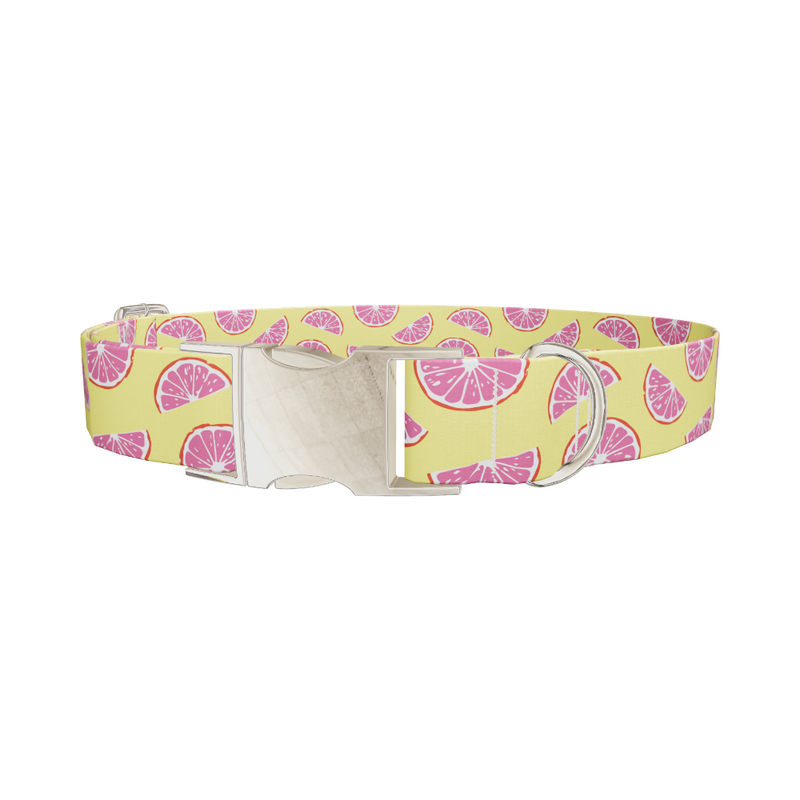 Grapefruit Slice Dog Collar