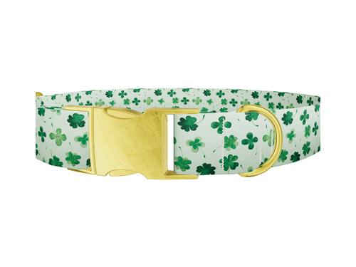 Watercolor Clover Dog Collar