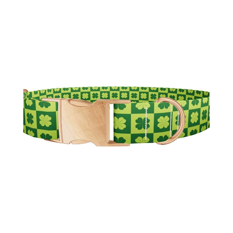 Checkered Clover Dog Collar