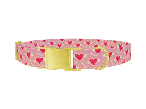 Winged Heart Arrow Dog Collar