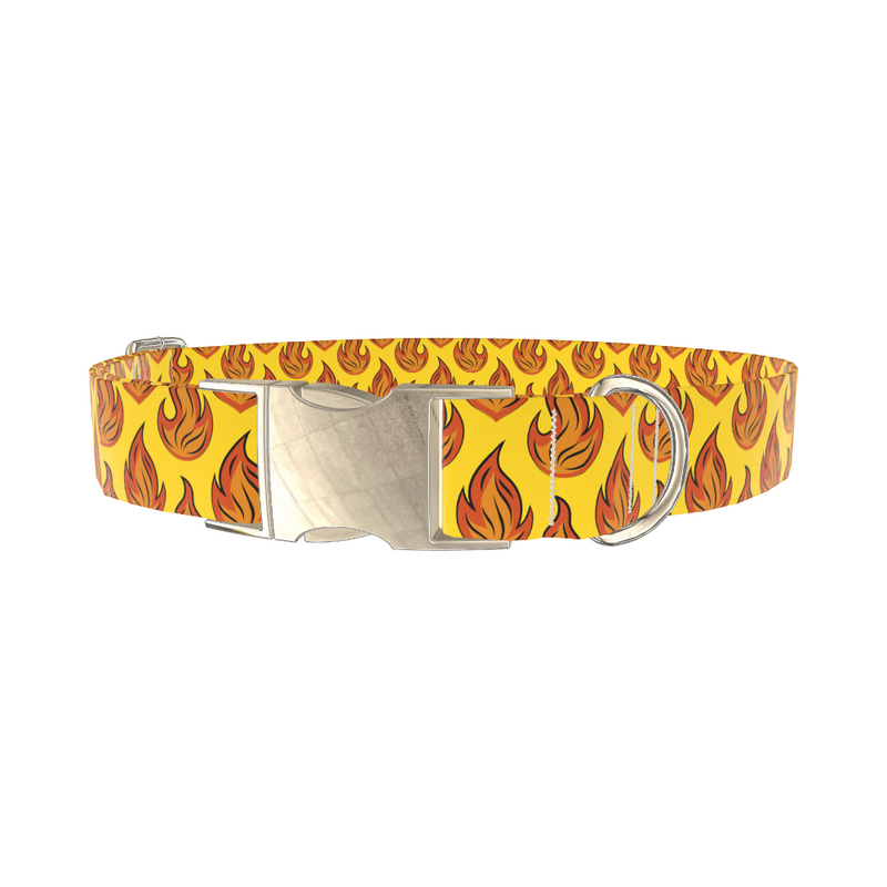 Flame Burst Dog Collar