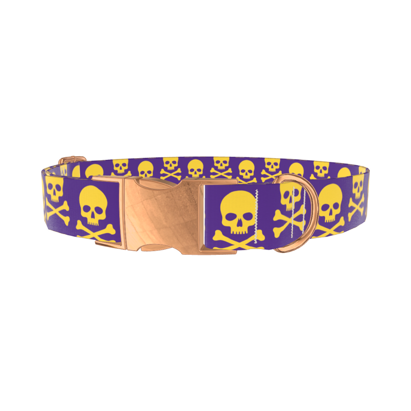Halloween Skull Dog Collar