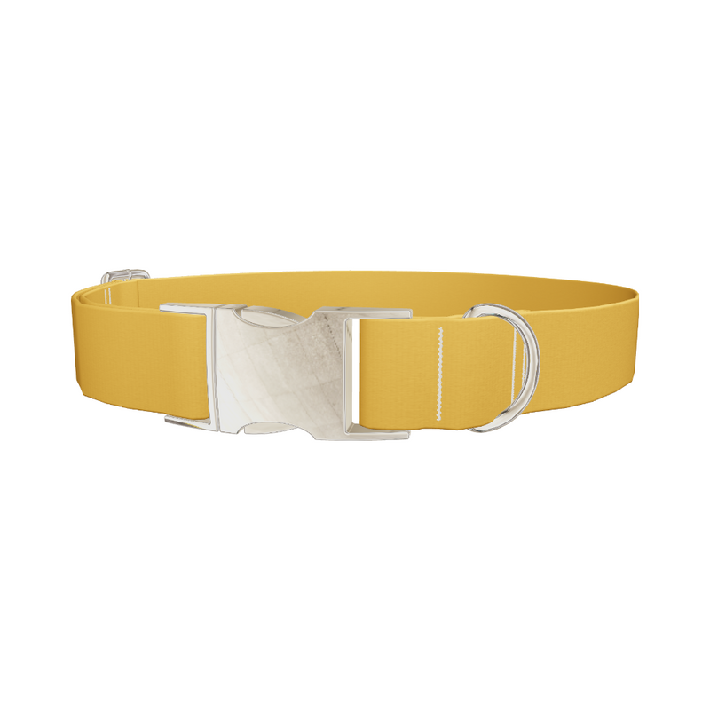 Shì Zǐ Chéng Persimmon Color Dog Collar