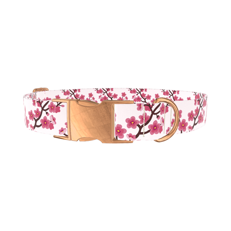 Floral Cherry Blossom Dog Collar