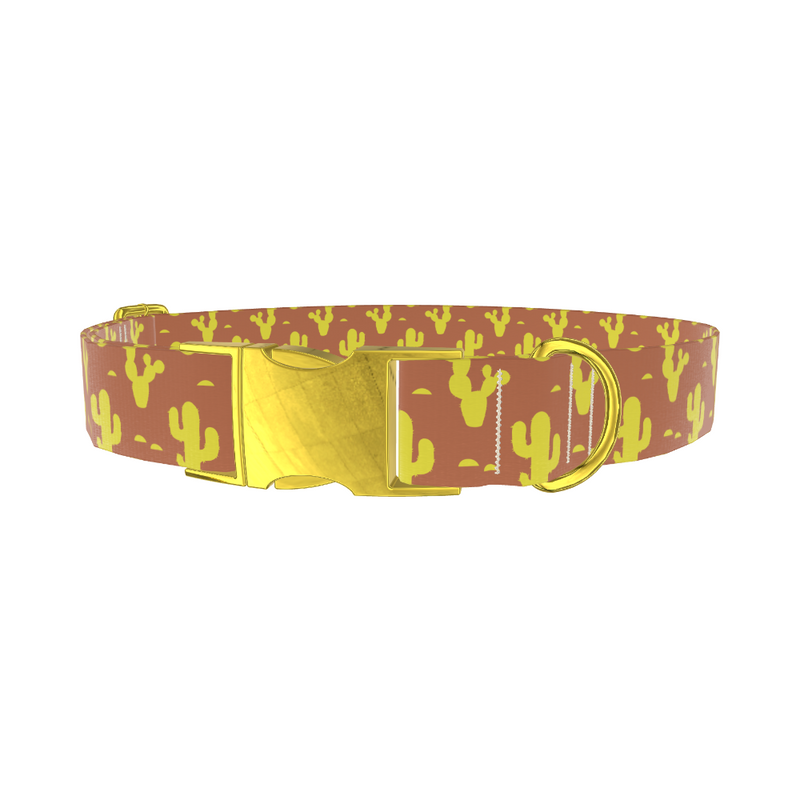 Western Cactus Dog Collar