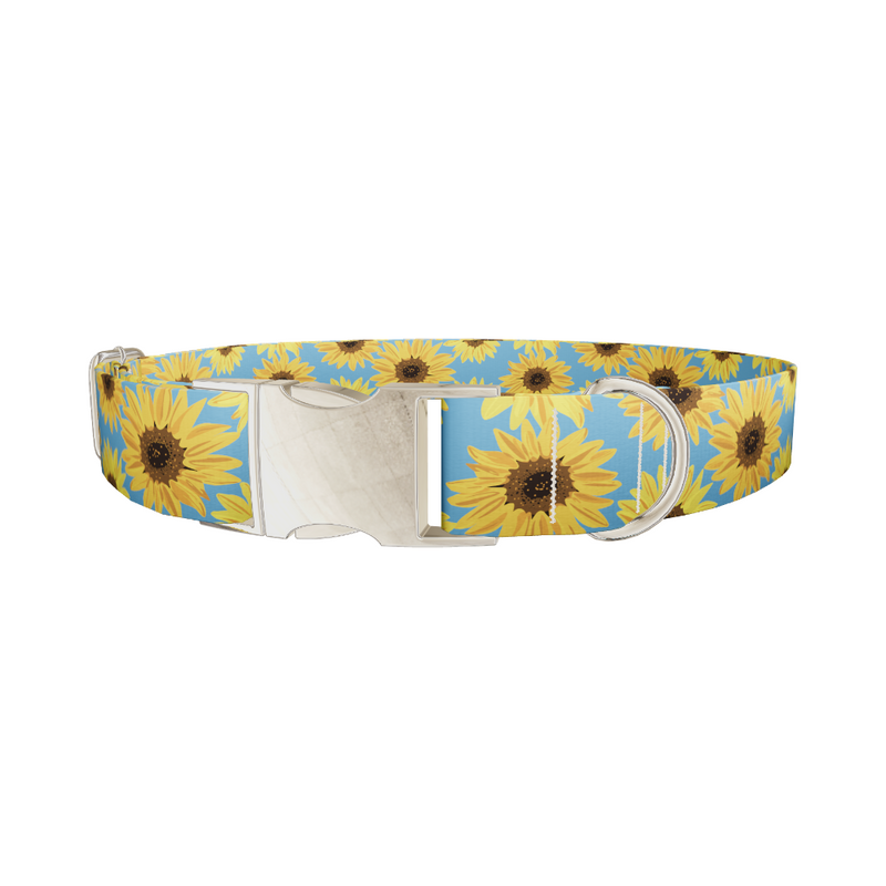 Sunflower Floral Dog Collar