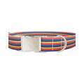 Color Block Hexagon Dog Collar - Thumbnail 3