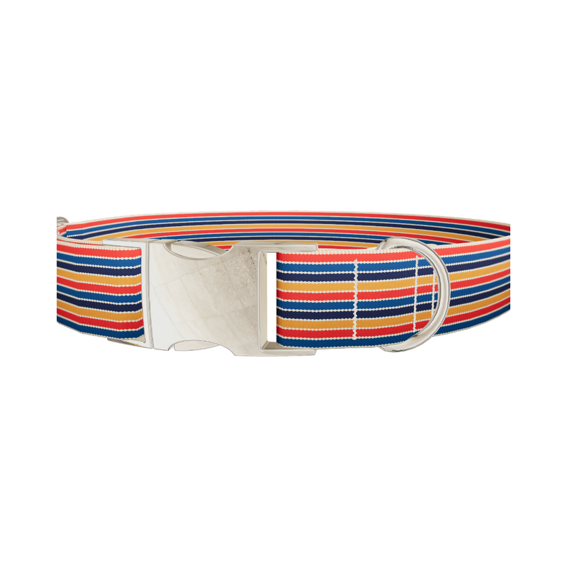 Color Block Hexagon Dog Collar