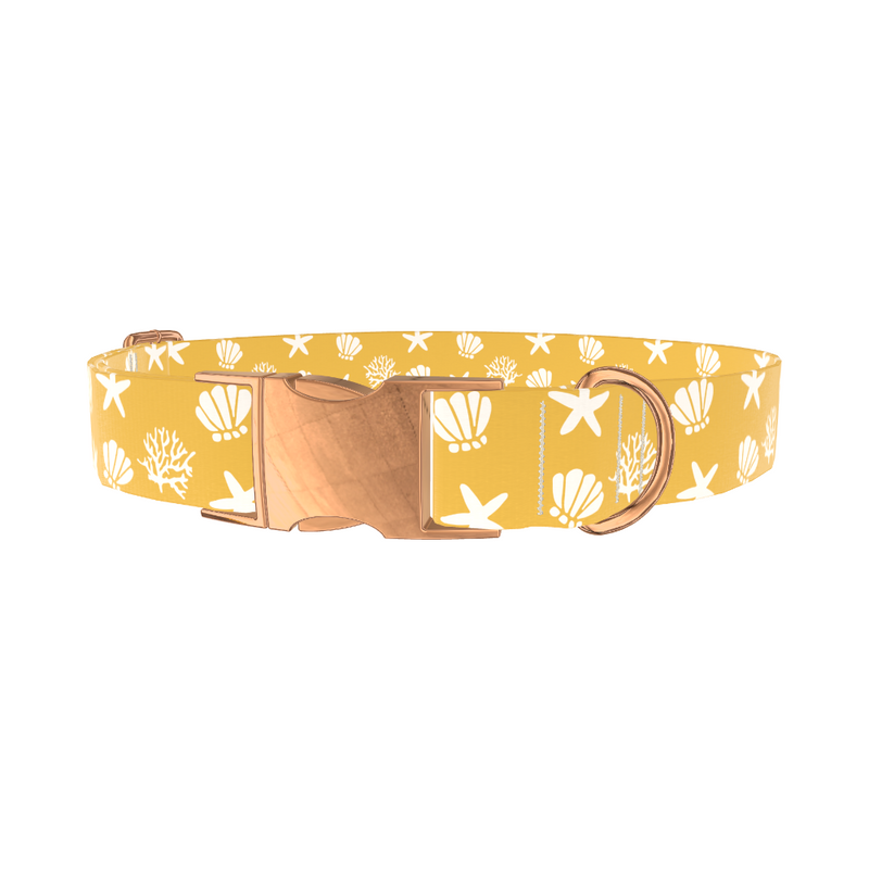 Beach Seashell Dog Collar
