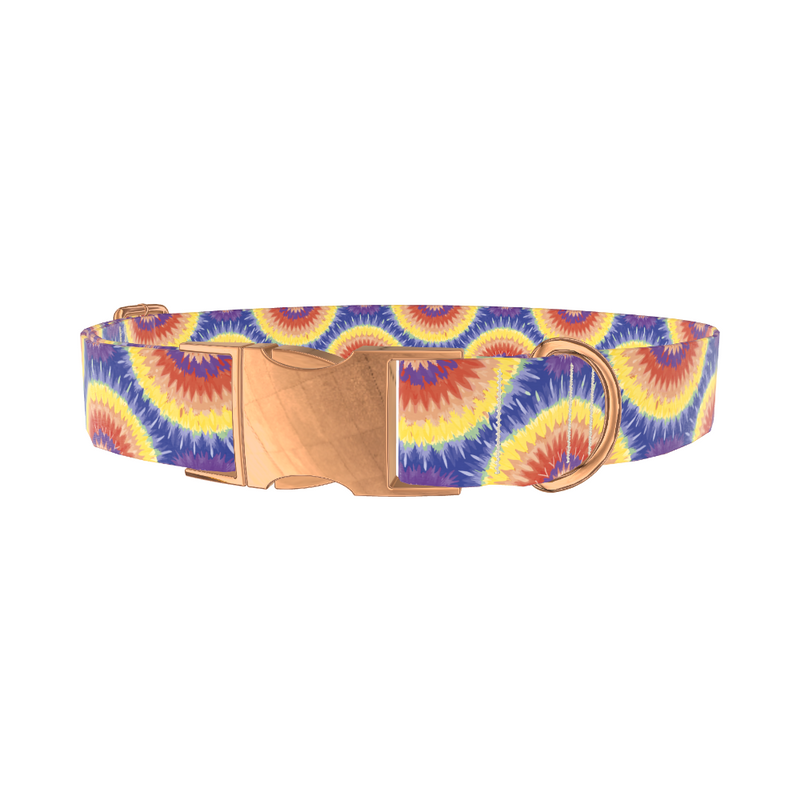 Colorful Burst Dog Collar