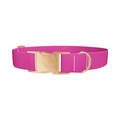 Smitten Color Dog Collar - Thumbnail 2