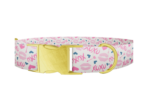 Valentine's Heart Dog Collar