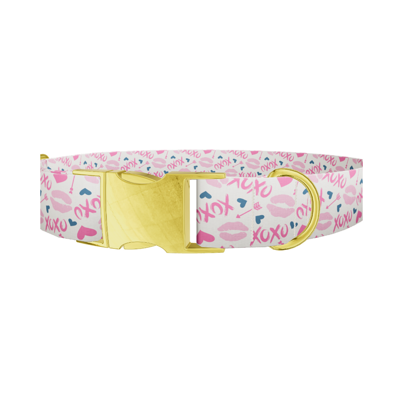 Valentine's Heart Dog Collar