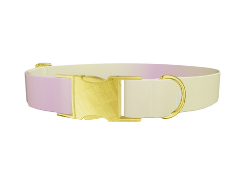 Sunset Gradient Dog Collar