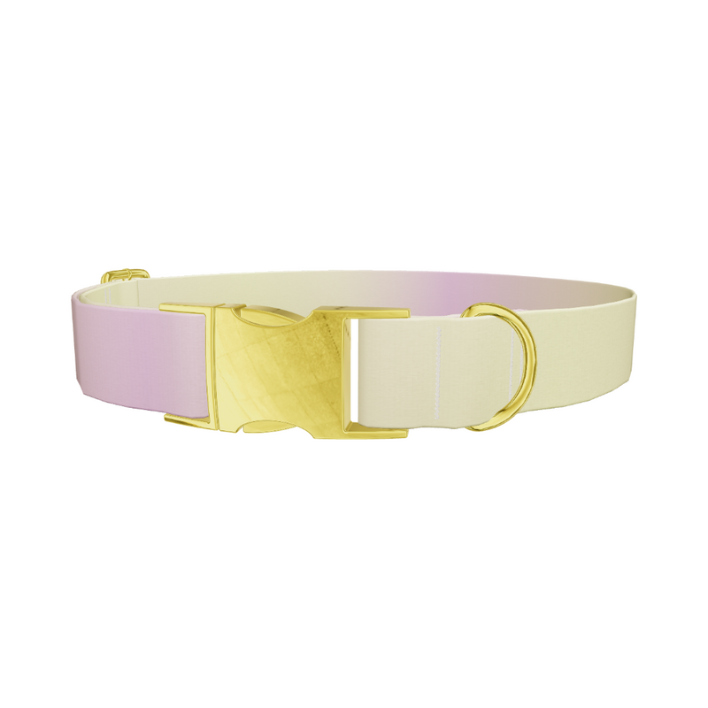 Sunset Gradient Dog Collar