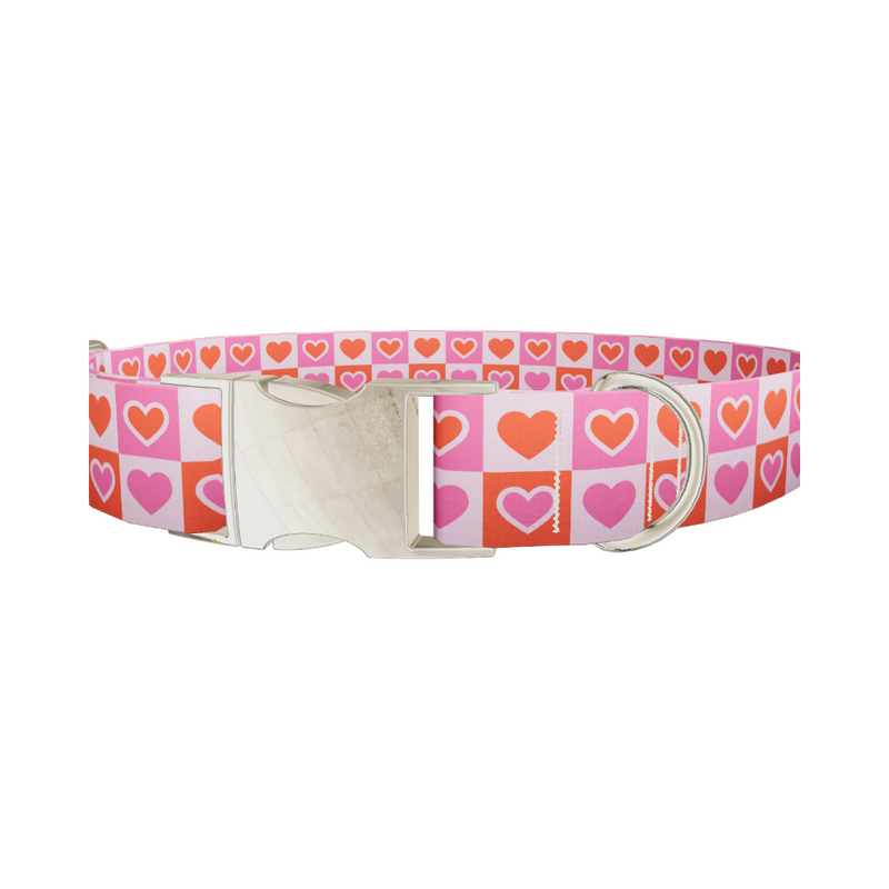 Color Block Heart Dog Collar