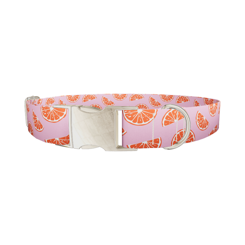 Pink Grapefruit Dog Collar