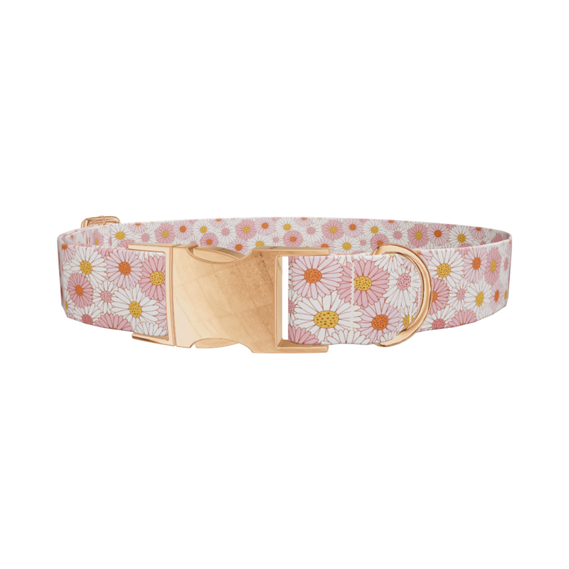 Chamomile Floral Dog Collar