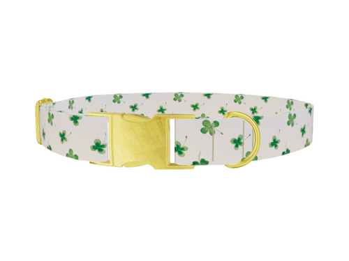 Watercolor Shamrock Dog Collar