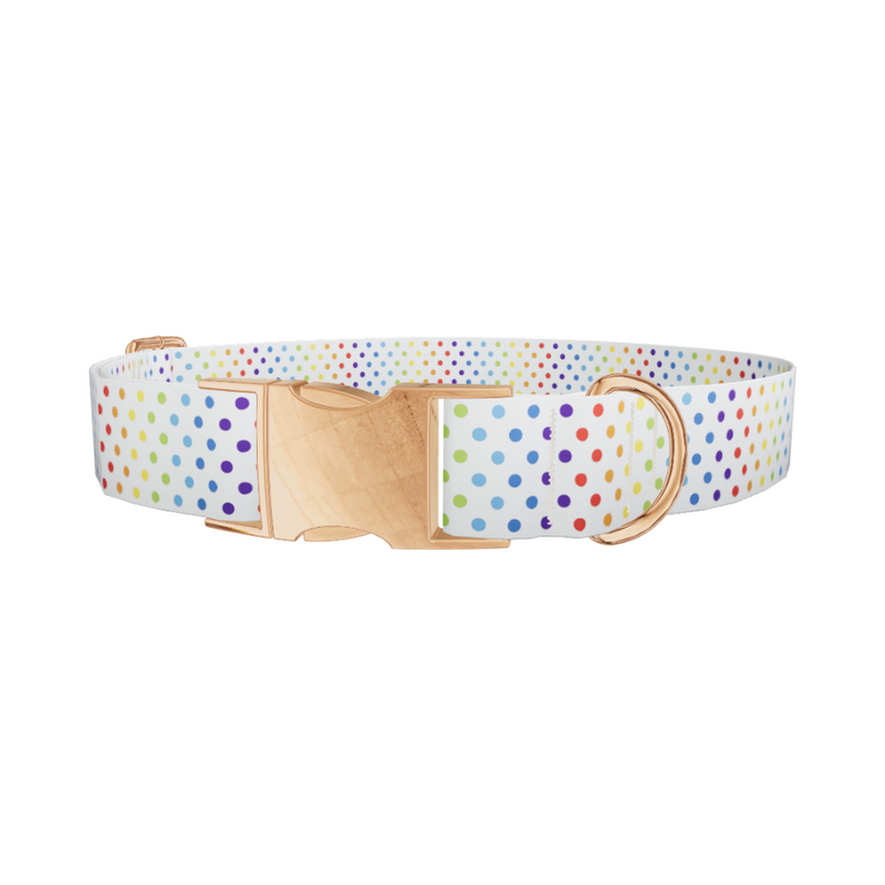 Rainbow Polka Dot Dog Collar