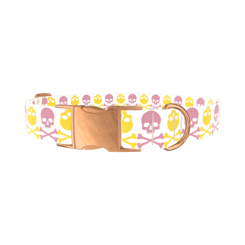Multicolor Skull Dog Collar