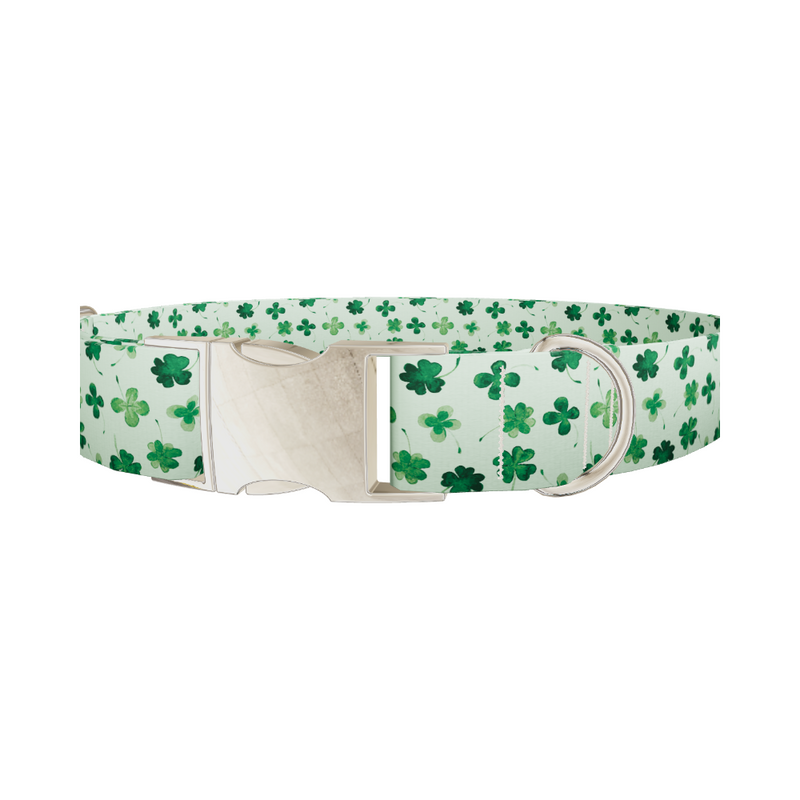 Watercolor Clover Dog Collar