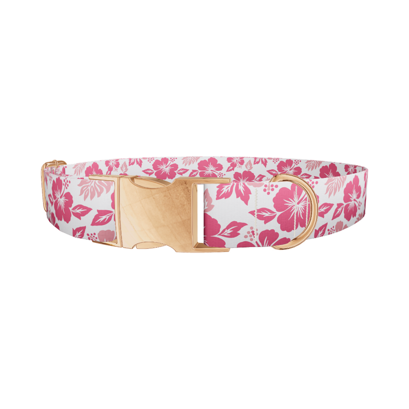 Hibiscus Blossom Dog Collar