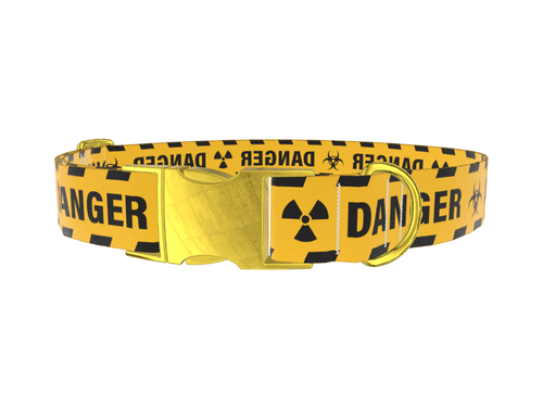 Hazard Warning Dog Collar
