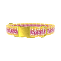 Gradient Musical Note Dog Collar - Thumbnail 1
