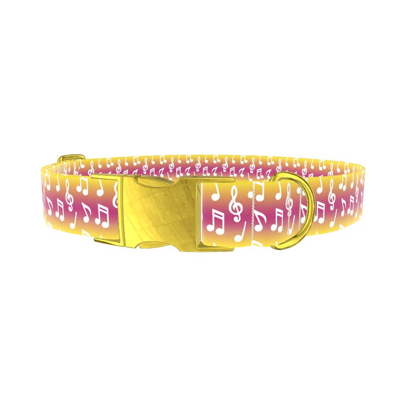 Gradient Musical Note Dog Collar