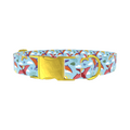 Dinosaur Adventure Dog Collar - Thumbnail 1