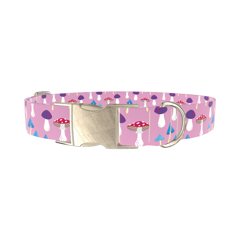 Multicolor Mushroom Dog Collar