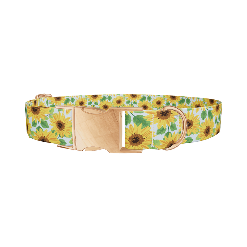 Sunflower Garden Dog Collar