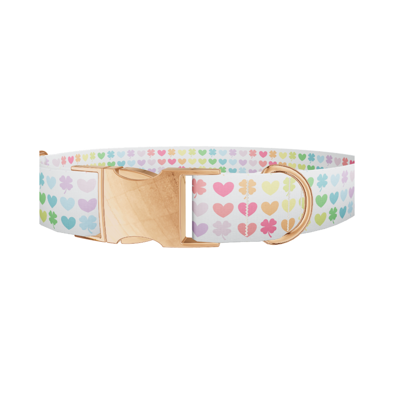Rainbow Heart and Clover Dog Collar