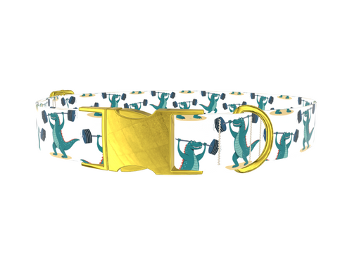 Dinosaur Powerlifting Dog Collar