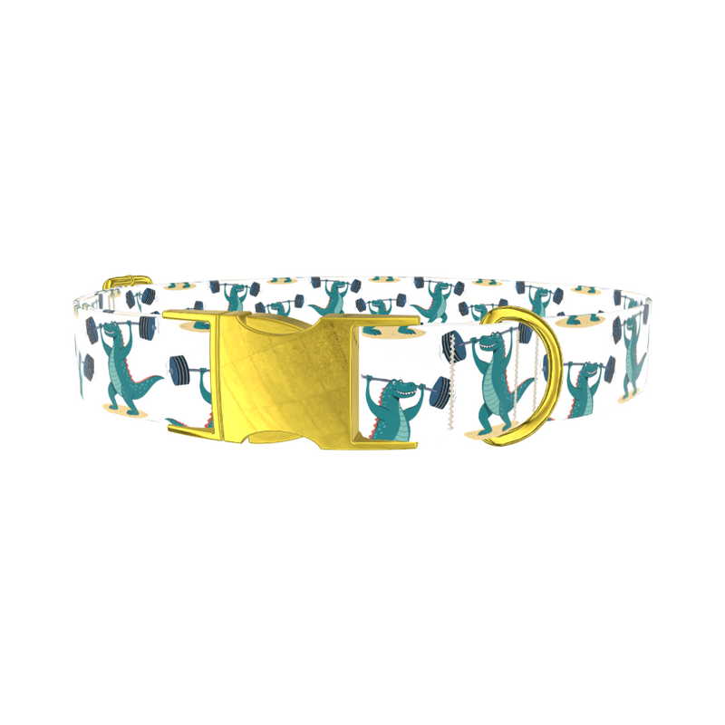 Dinosaur Powerlifting Dog Collar