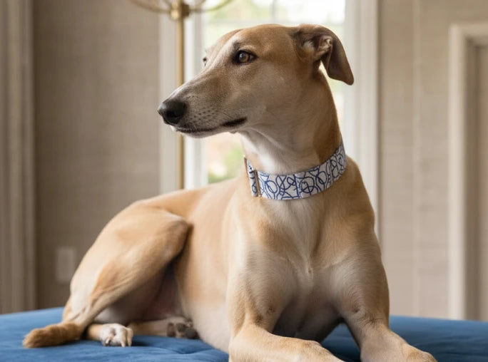 Dog Martingale
