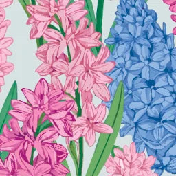 Floral_Hyacinth